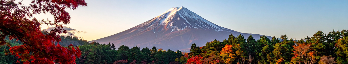 EEX Japanese Power Futures